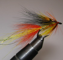 ���� �������� �� �������� Junglecock Longtail Finn Gold LOOP �6